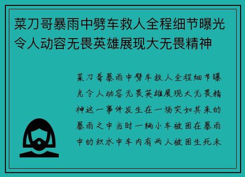 菜刀哥暴雨中劈车救人全程细节曝光令人动容无畏英雄展现大无畏精神