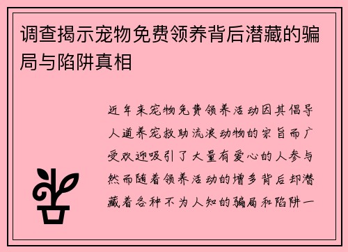 调查揭示宠物免费领养背后潜藏的骗局与陷阱真相
