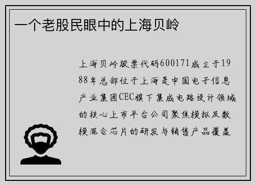一个老股民眼中的上海贝岭