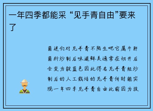 一年四季都能采 “见手青自由”要来了