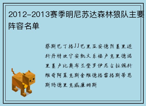 2012-2013赛季明尼苏达森林狼队主要阵容名单
