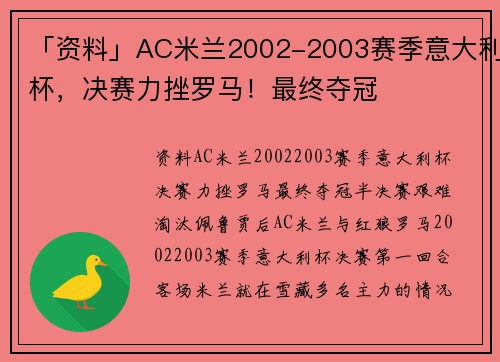 「资料」AC米兰2002-2003赛季意大利杯，决赛力挫罗马！最终夺冠